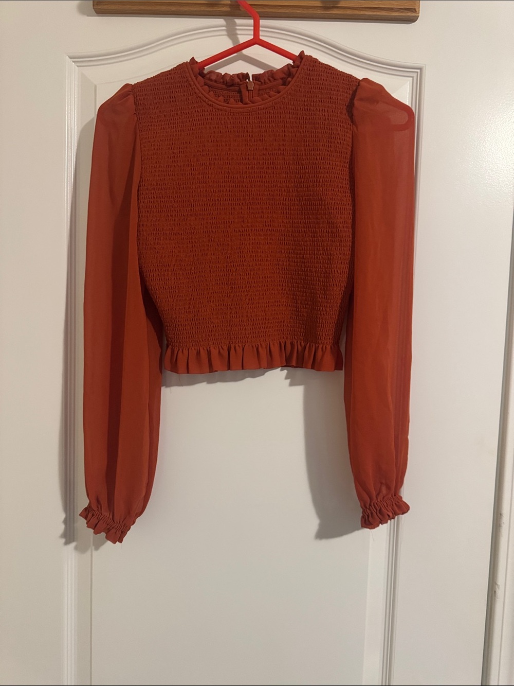 Aritzia Rust Smocked Bodice Puff Sleeve Blouse